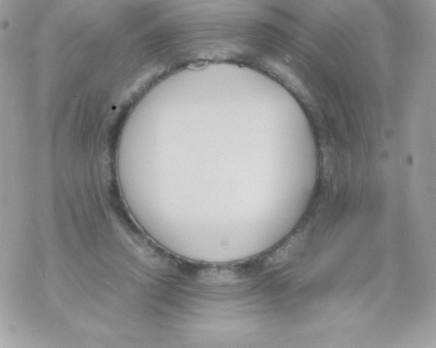 X0000070830354200607142346