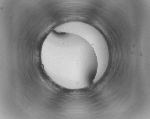 X0000070830356200607142347