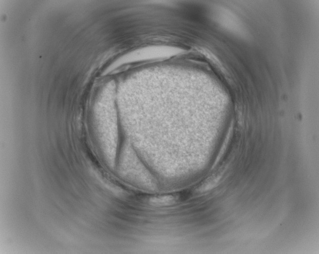 X0000070830357200607142347