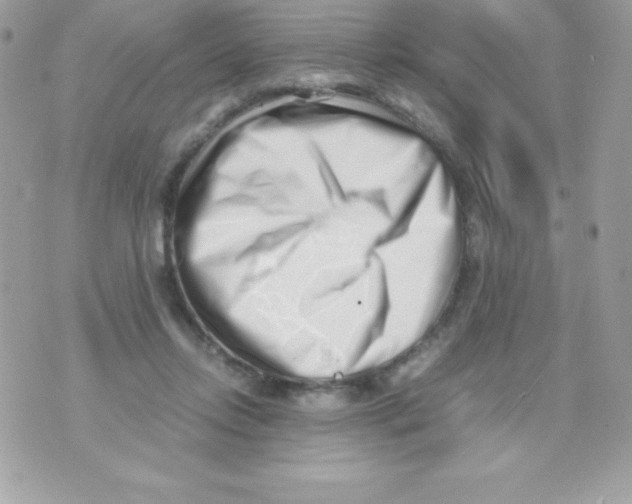 X0000070830358200607142347