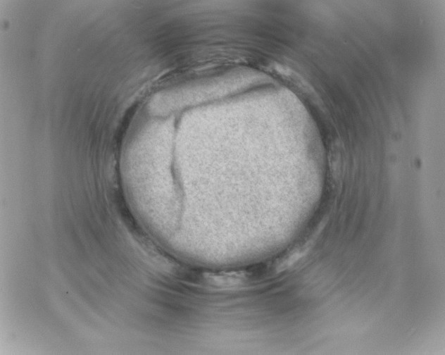 X0000070830359200607142347