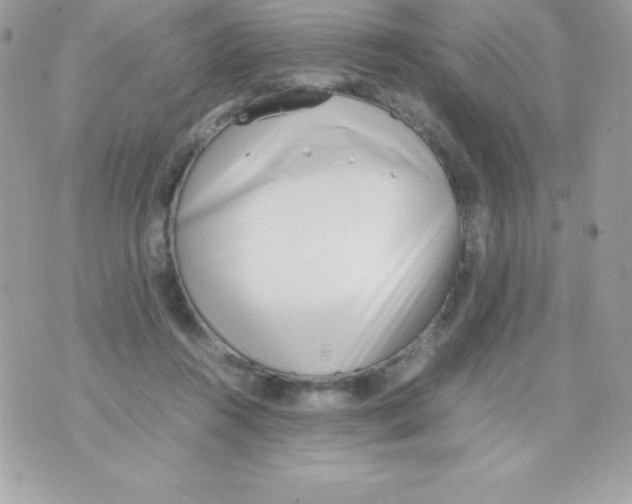 X0000070830360200607142347