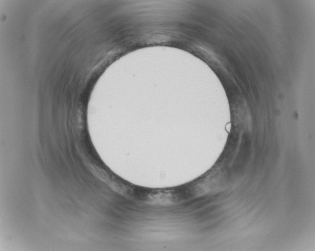 X0000070830362200607142347