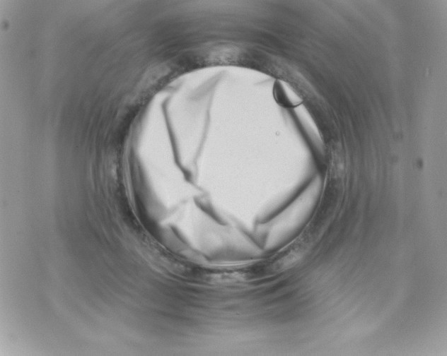 X0000070830363200607142347