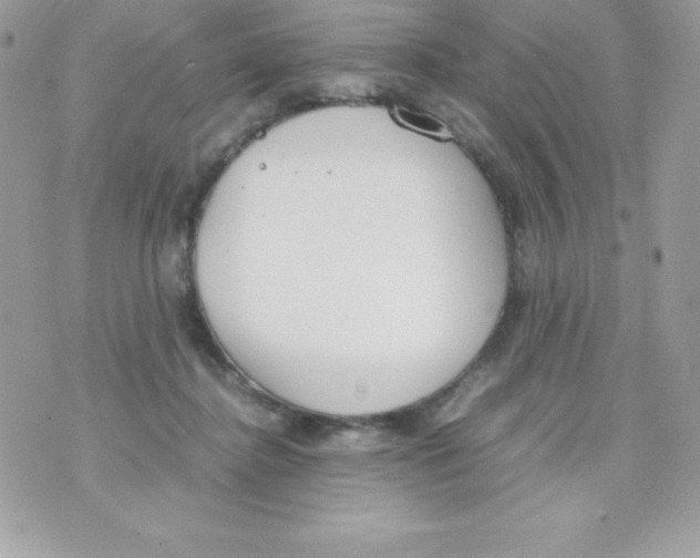 X0000070830364200607142347