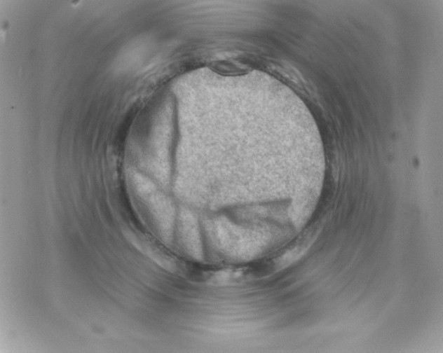 X0000070830366200607142347