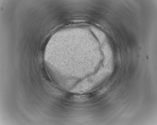 X0000070830367200607142347