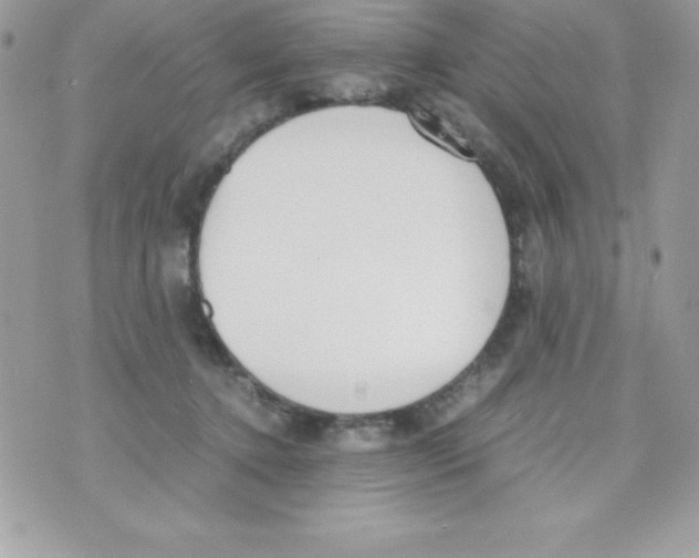 X0000070830368200607142347