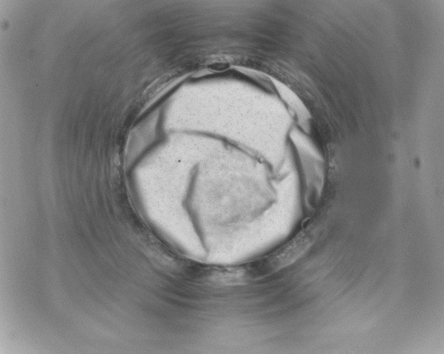 X0000070830369200607142347