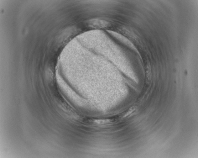 X0000070830371200607142347