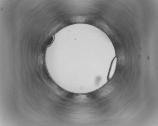 X0000070830374200607142347