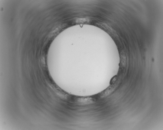 X0000070830375200607142347