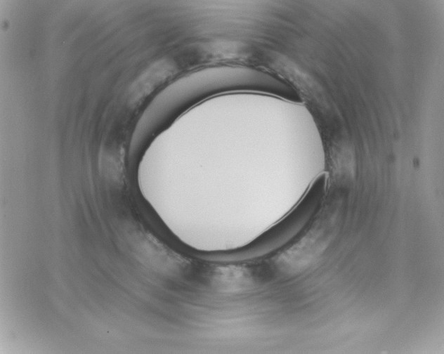 X0000070830376200607142347