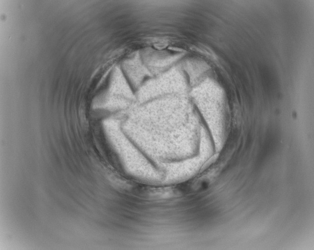 X0000070830377200607142347