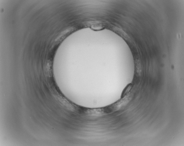 X0000070830378200607142347