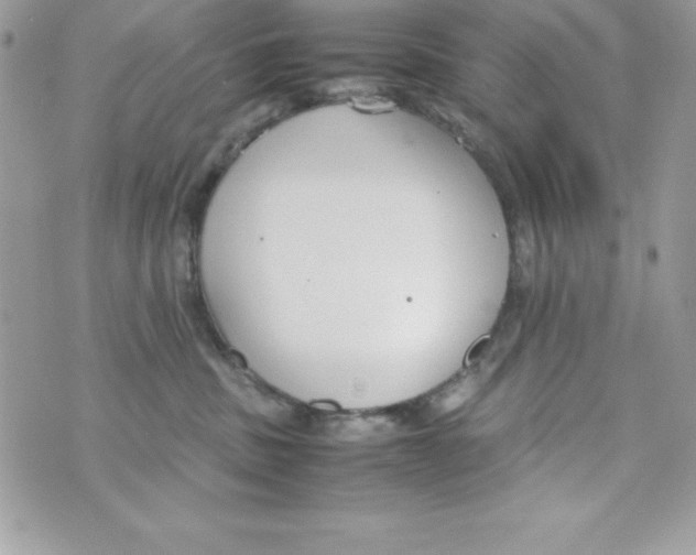 X0000070830379200607142347