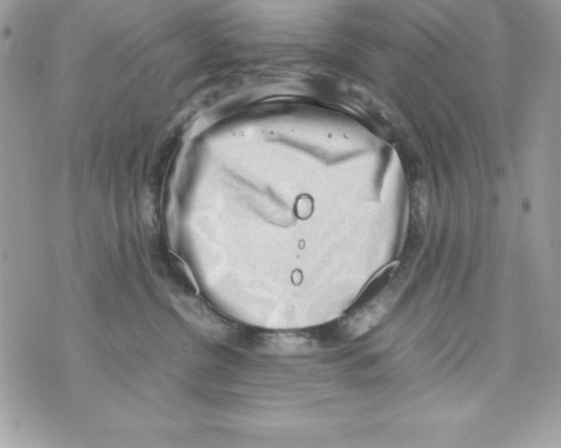 X0000070830380200607142347