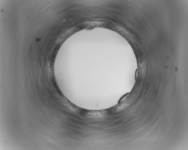 X0000070830381200607142347