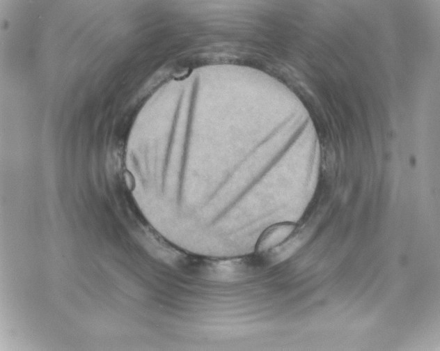 X0000070830382200607142347