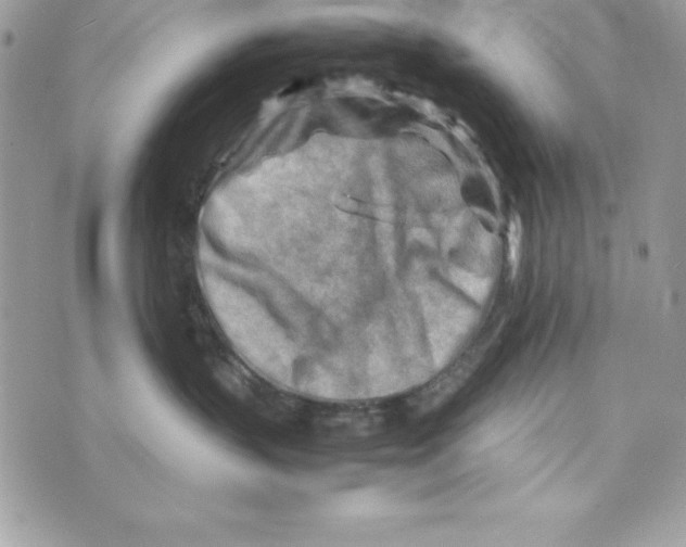 X0000070830383200607142347