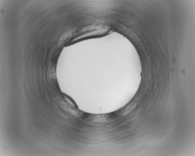 X0000070830384200607142347