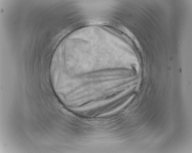 X0000070830385200607142346