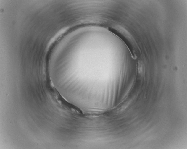 X0000070830388200607142346