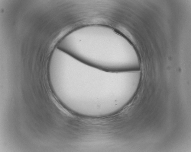 X0000070830389200607142346