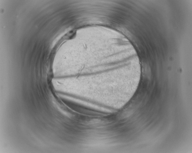 X0000070830390200607142346