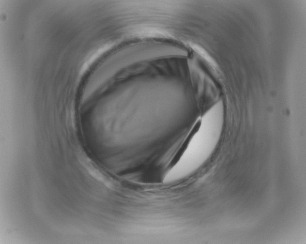 X0000070830391200607142346