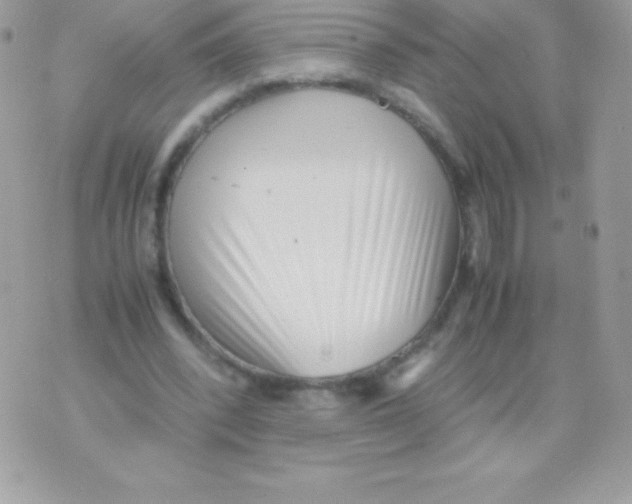 X0000070830392200607142346