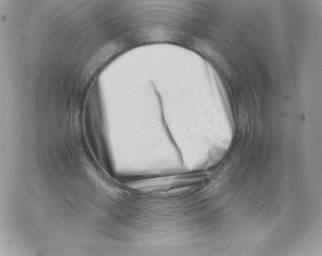 X0000070830394200607142346