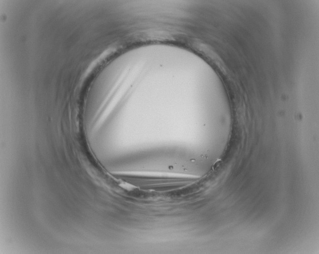 X0000070830395200607142346