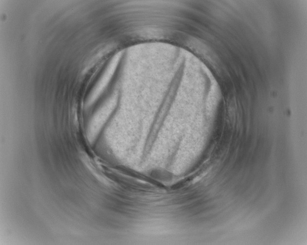 X0000070830398200607142346