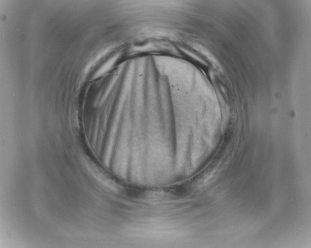 X0000070830399200607142346