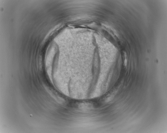 X0000070830400200607142346