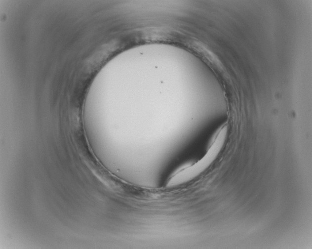 X0000070830401200607142346