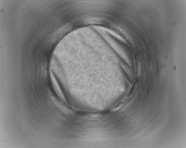 X0000070830402200607142346