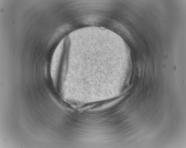 X0000070830404200607142346