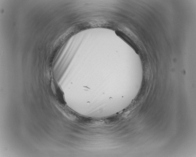 X0000070830405200607142346