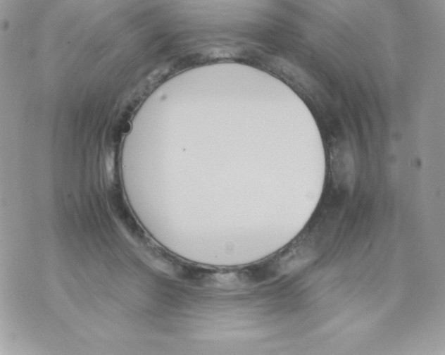 X0000070830406200607142346