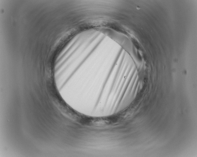 X0000070830407200607142346