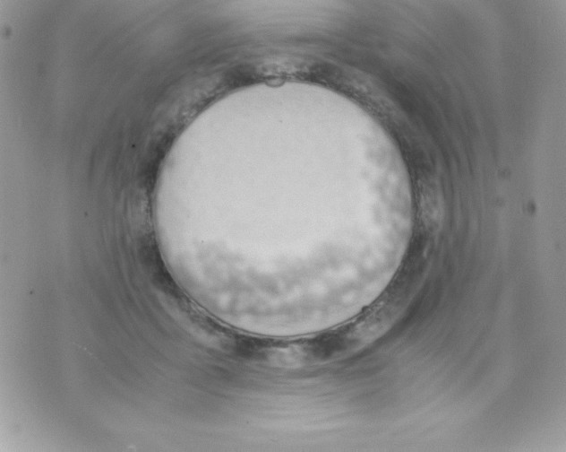 X0000070830411200607142346