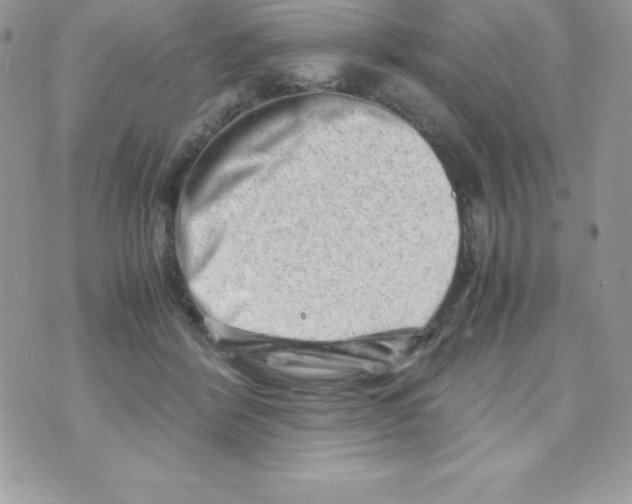 X0000070830412200607142346