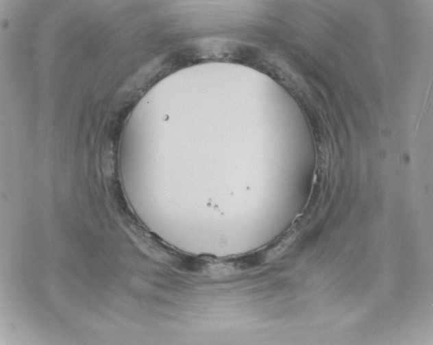 X0000070830413200607142346