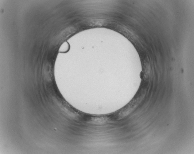 X0000070830414200607142346