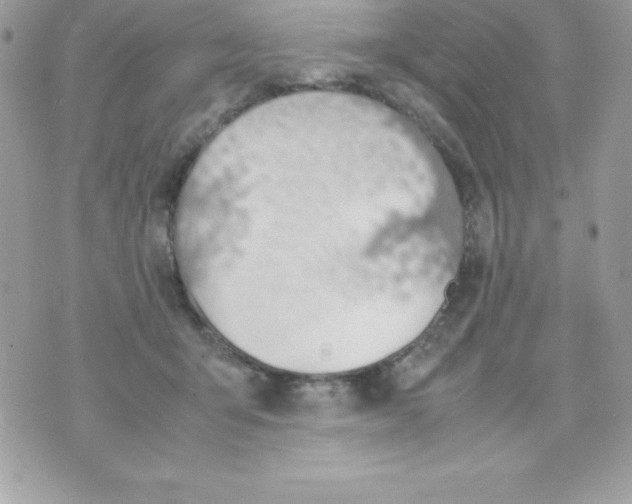 X0000070830415200607142346