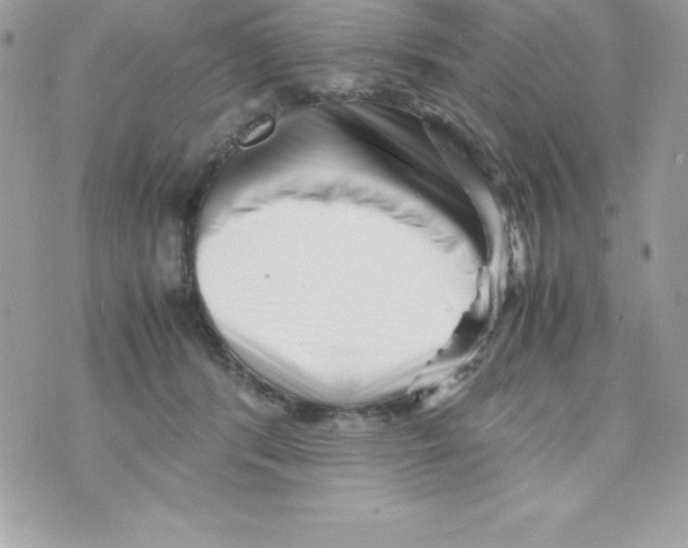 X0000070830416200607142346