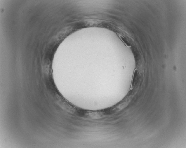 X0000070830417200607142346