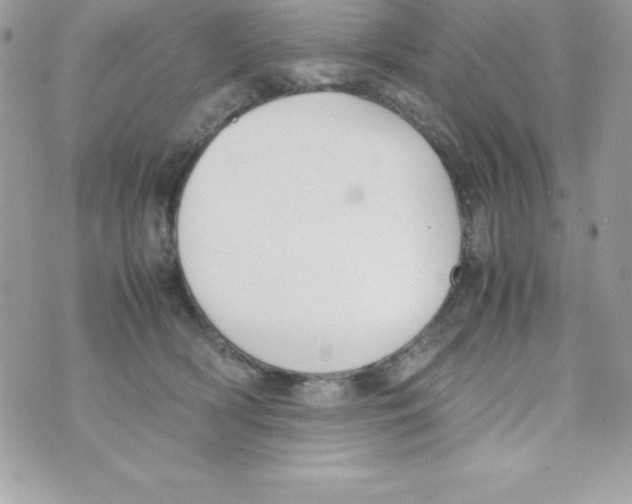 X0000070830418200607142346